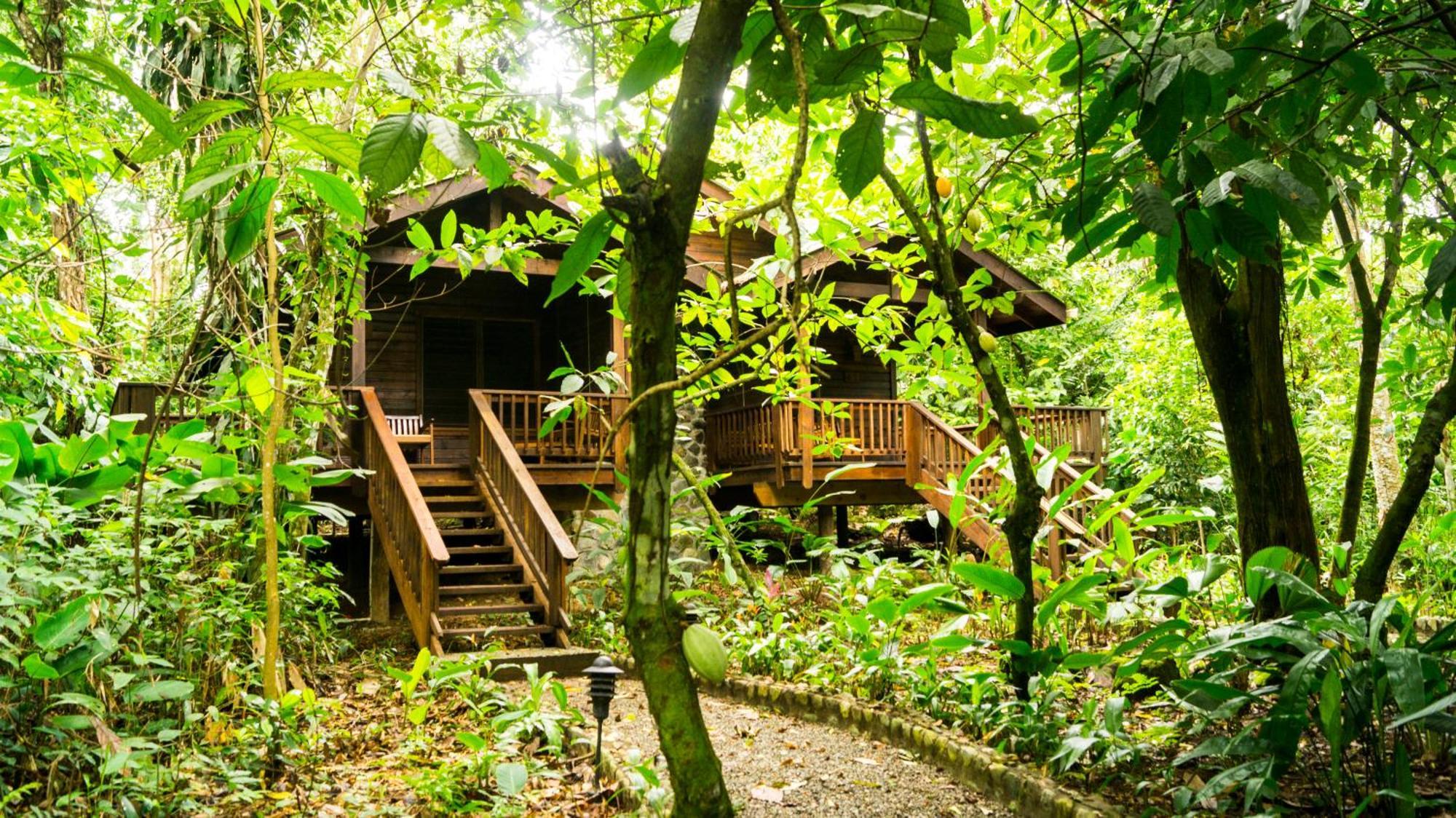 The Lodge & Spa At Pico Bonito El Pino Bagian luar foto